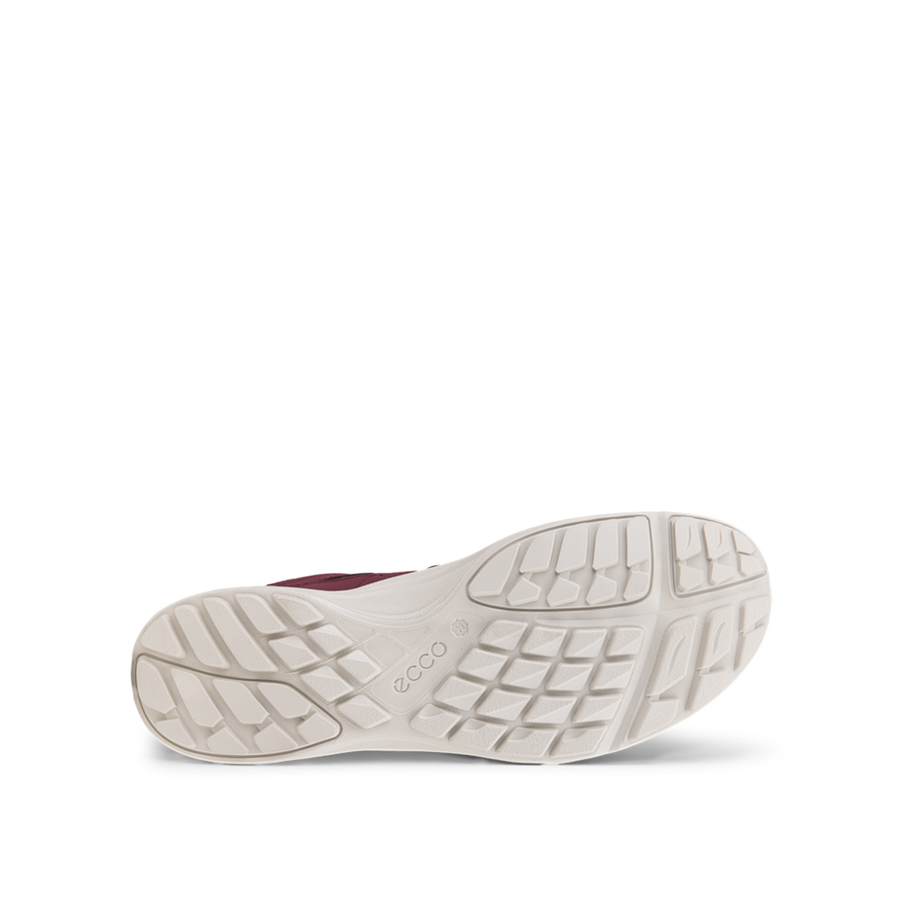 Ecco - Terraruise LT - 825783-59223 - Morillo - Shoes