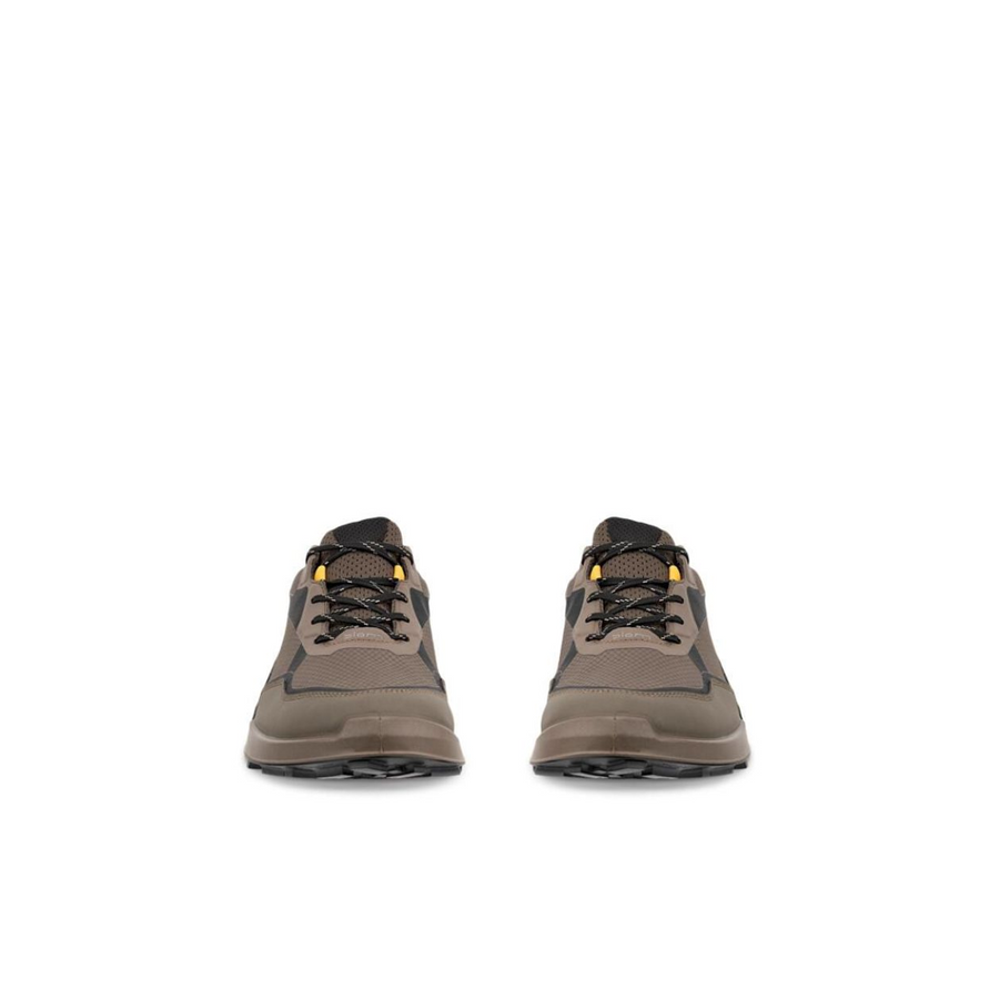 Ecco - Biom 2.1 X MTN M GTX - Dark Clay/Black - Shoes