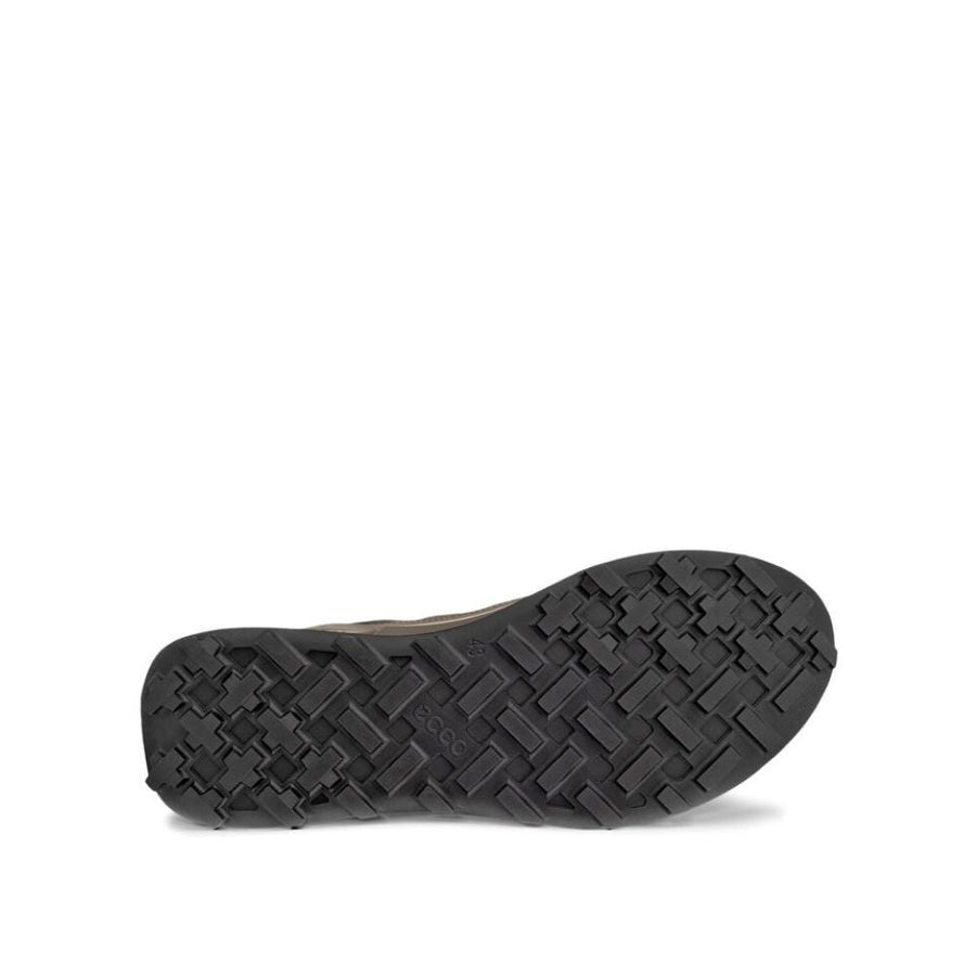 Ecco - Biom 2.1 X MTN M GTX - Dark Clay/Black - Shoes