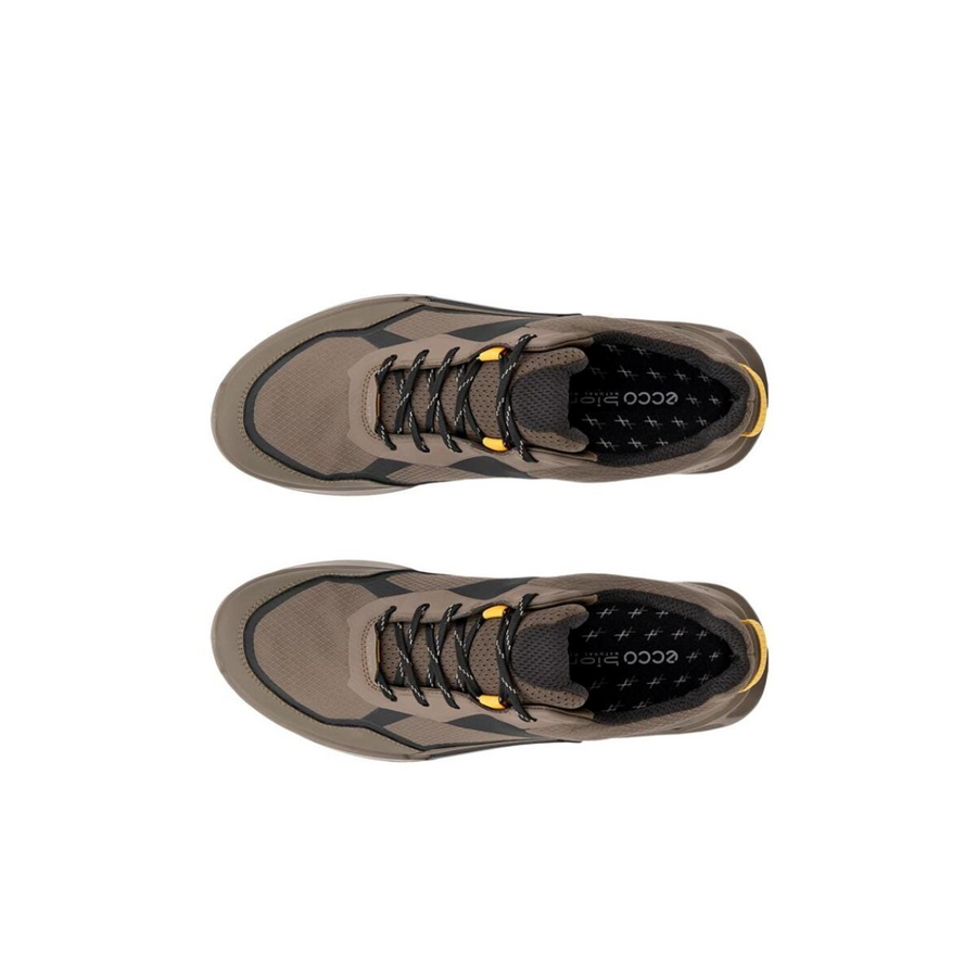 Ecco - Biom 2.1 X MTN M GTX - Dark Clay/Black - Shoes