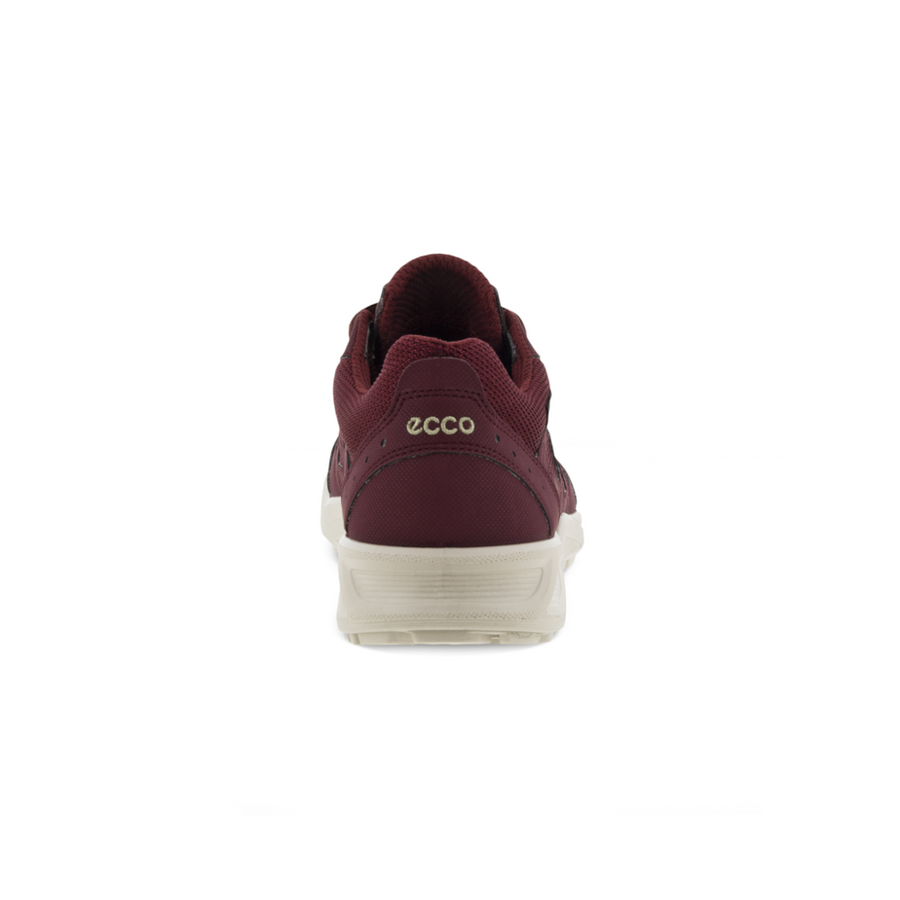 Ecco - Terraruise LT - 825783-59223 - Morillo - Shoes