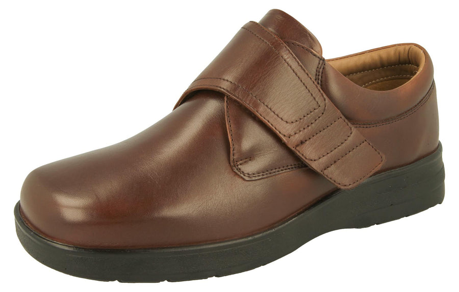 D.B - Benny - Brown Leather - Shoes