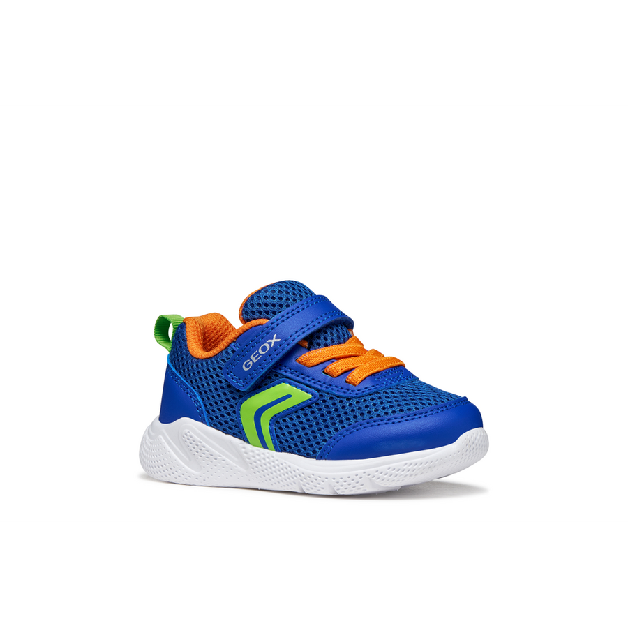 Orange Rugby Trainers Geox - B Sprintye Boy - Royal/Orange - Trainers – Robert Carder Shoes