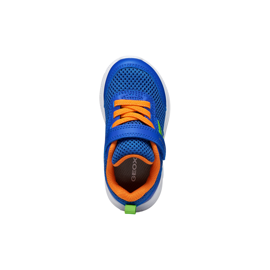 Geox - B Sprintye Boy - Royal/Orange - Trainers