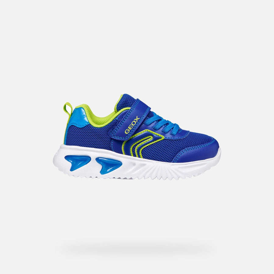 Geox - J Assister Boy - Royal/Lime - Trainers