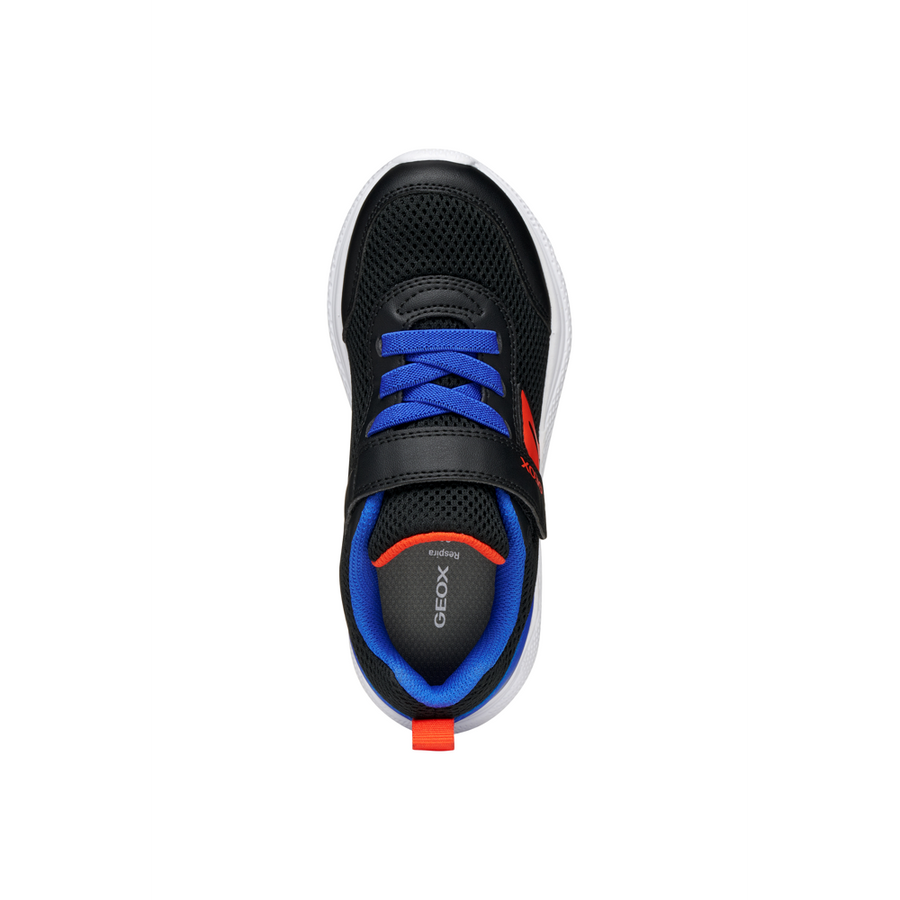 Geox - J Sprintye Boy - Black/Royal - Trainers