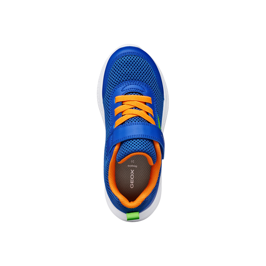 Geox - J Sprintye Boy - Royal/Orange - Trainers