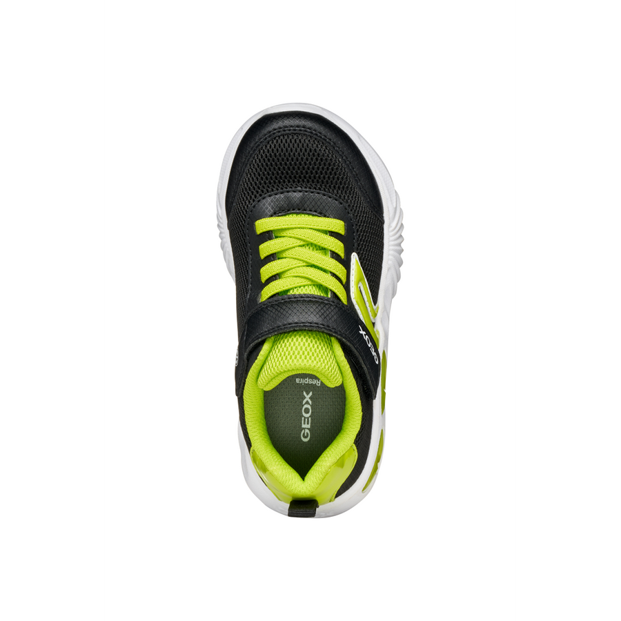 Geox - J Assister Boy - Black/Lime - Trainers