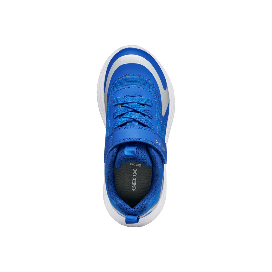 Geox - J Sprintye Boy - Royal - Trainers