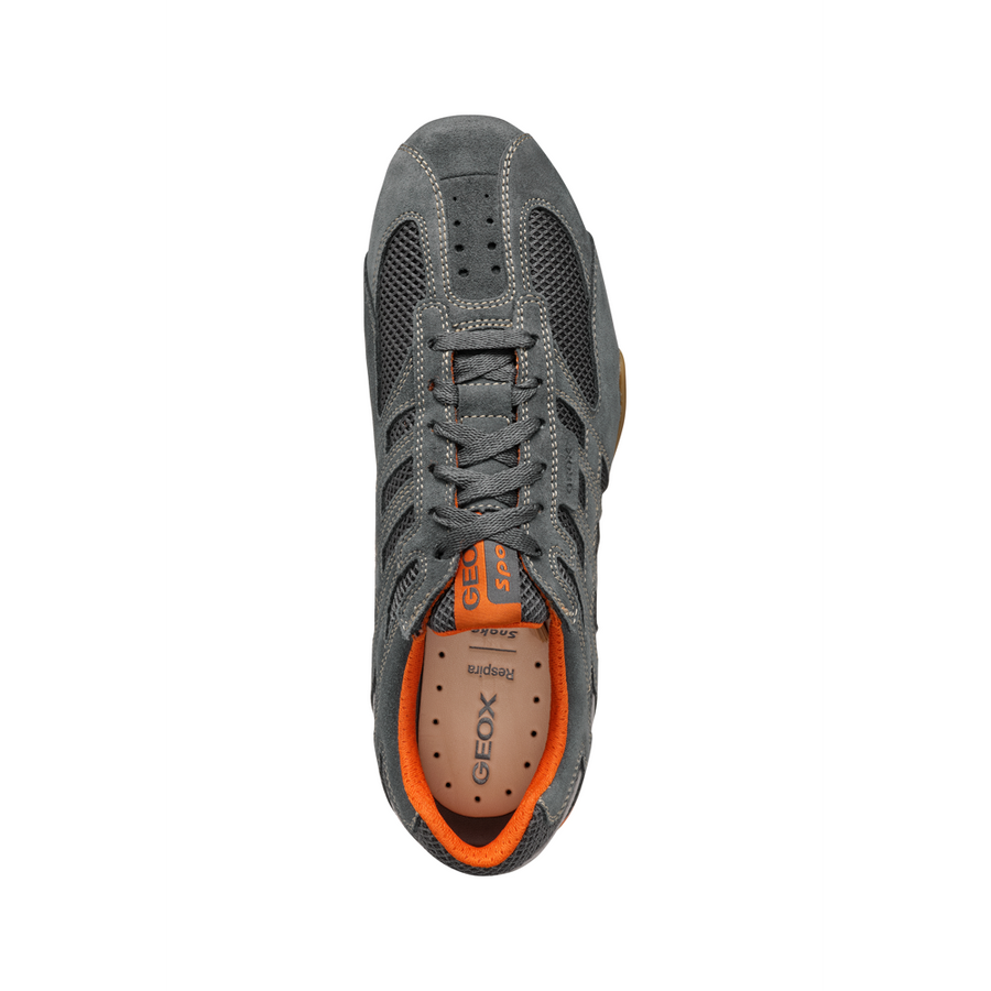 Geox - U Snake Original - Grey - Trainers