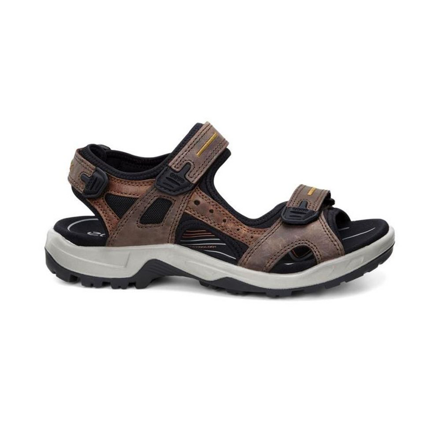 Ecco - Offroad - Espresso - Sandals