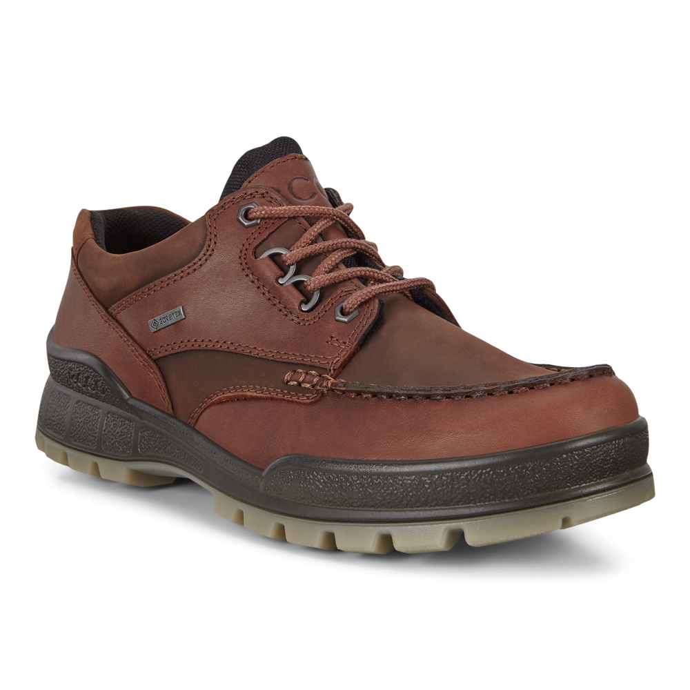 Ecco - Track 25  M Low GTX - Bison/Bison - Shoes